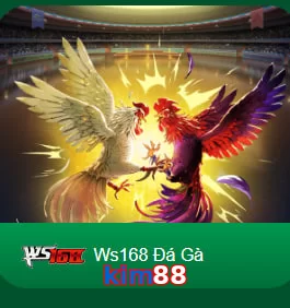 kim88
